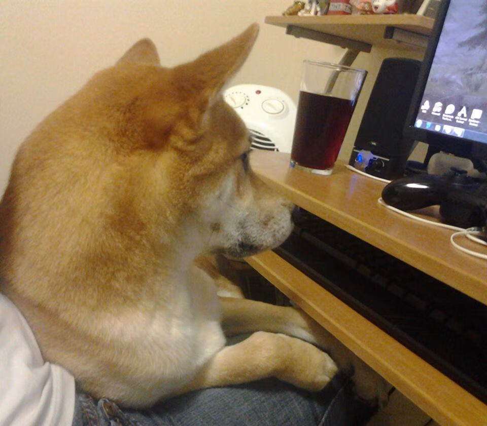 “马科斯·梅特罗的领导能力，带领阿根廷美洲狮队取得历史性突破”