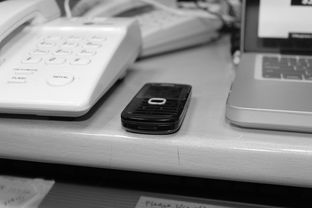 开云真人娱乐官网-技术数据揭示冠军转身平均仅0.65秒，冠军转盘